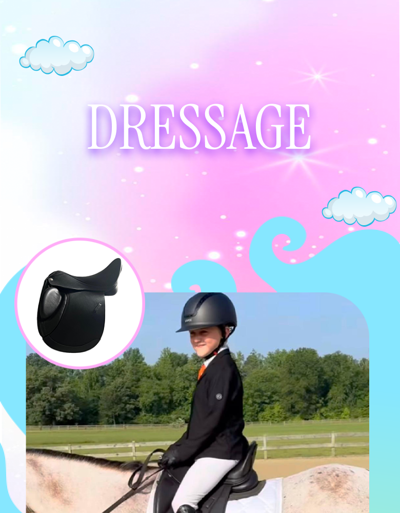 Collection Banner