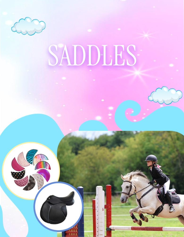 Collection Banner