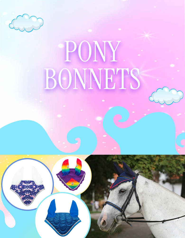 Collection Banner