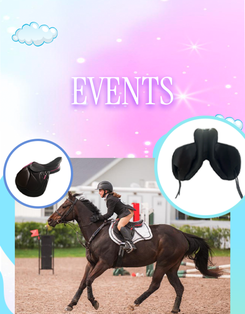 Collection Banner