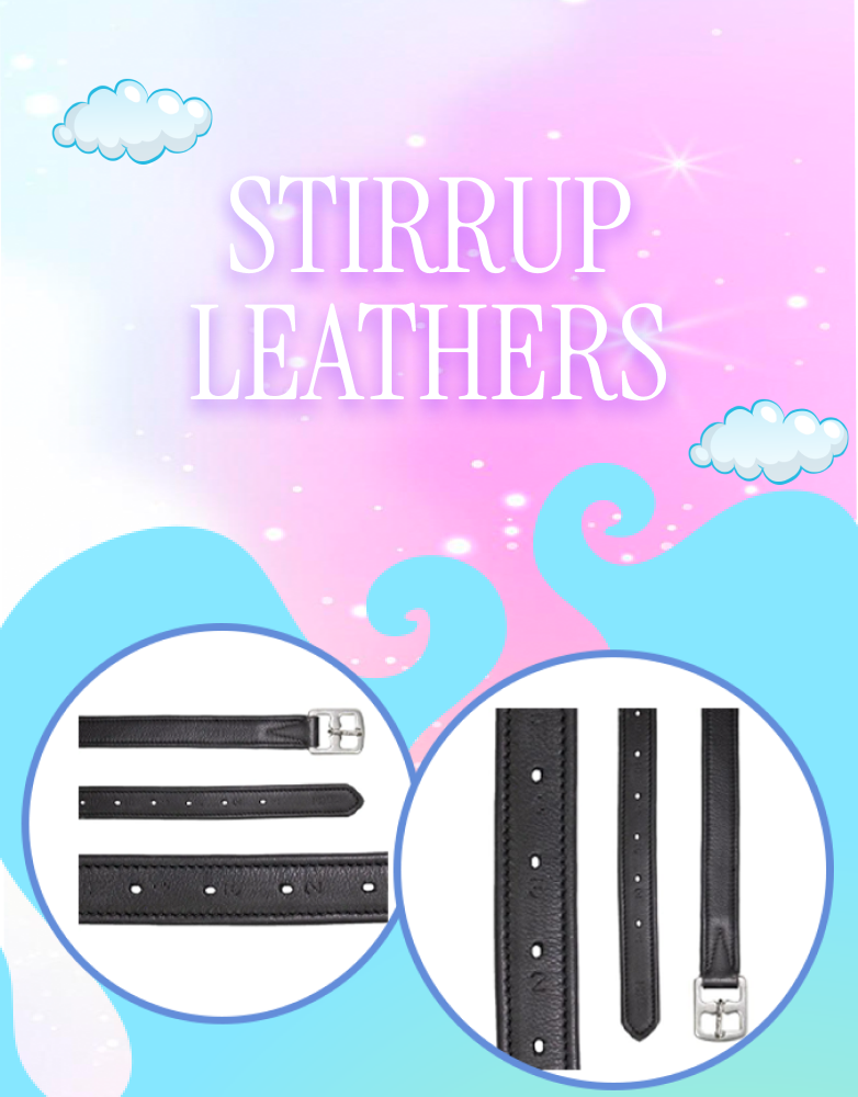 Collection Banner