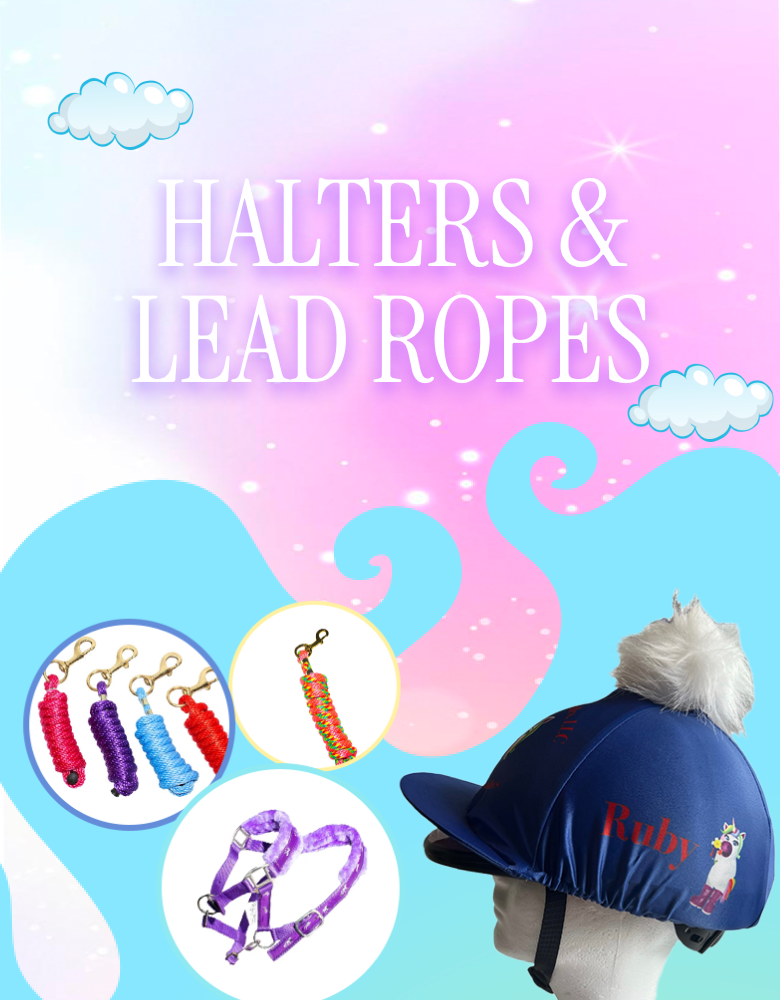 Collection Banner