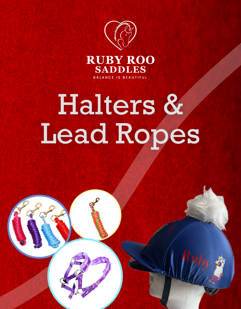 Collection Banner
