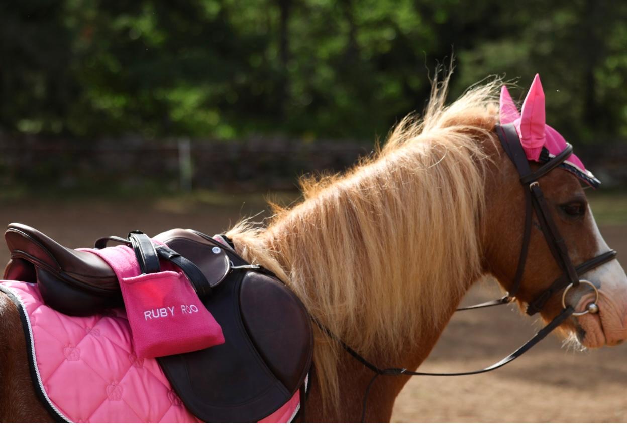 Ruby Roo Flannel Stirrup Keepers – Protect Your Saddle in Style