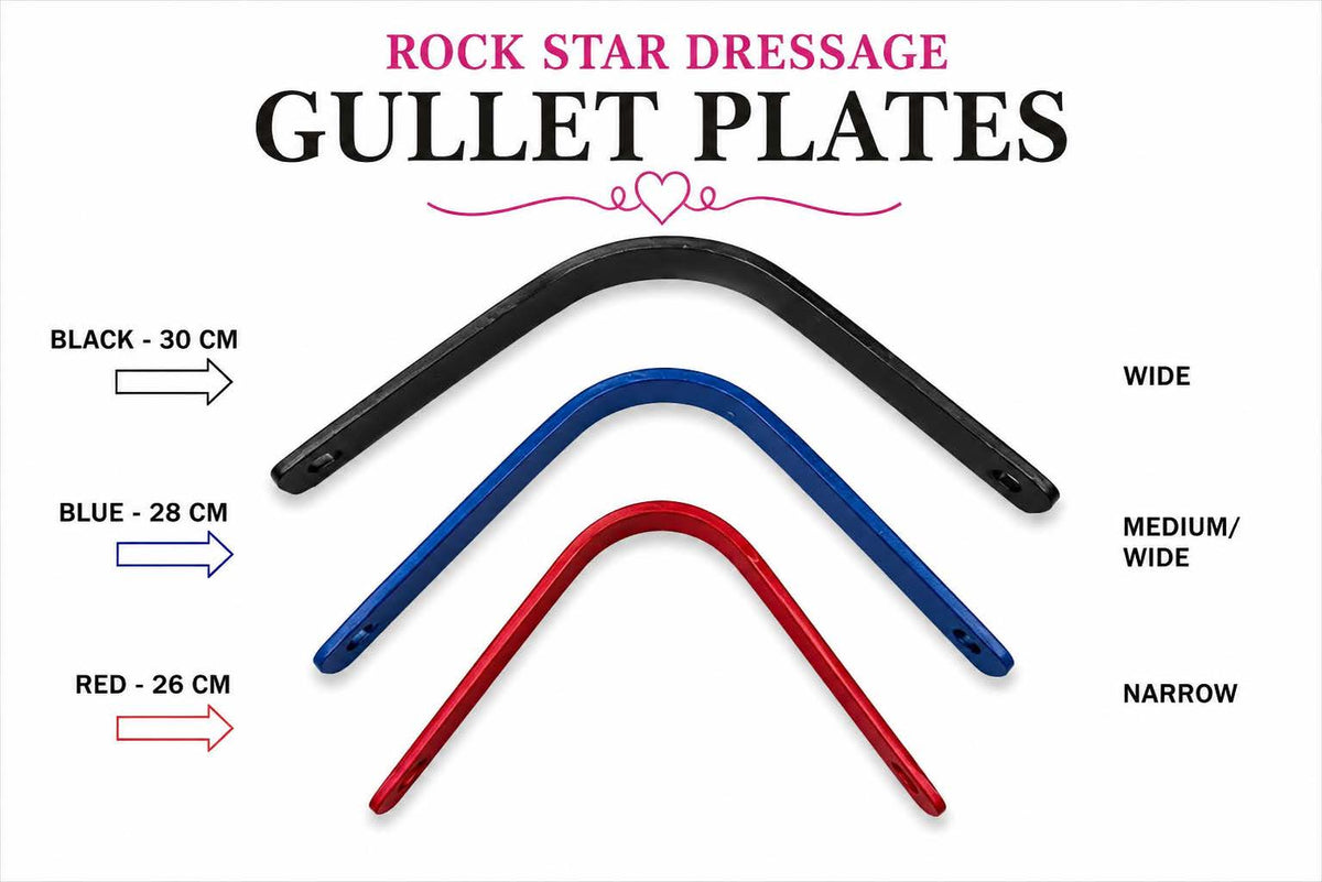 Rock Star Dressage Saddle