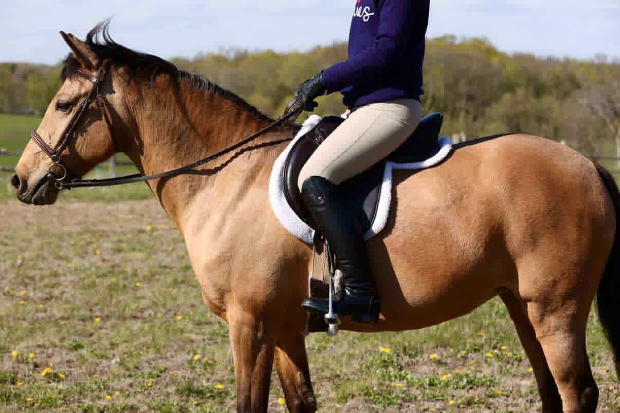 Ruby Flight Hunter/Jumper Saddle